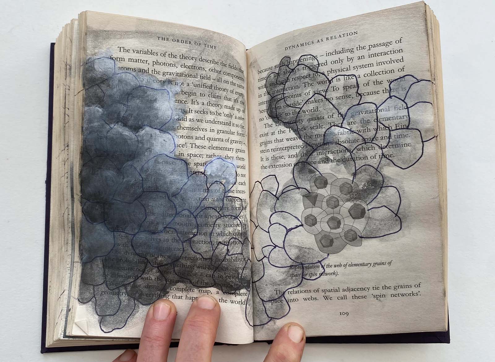 The Order of Time by Carlo Rovelli (1985), recovered by Tatiana Ortiz-Rubio