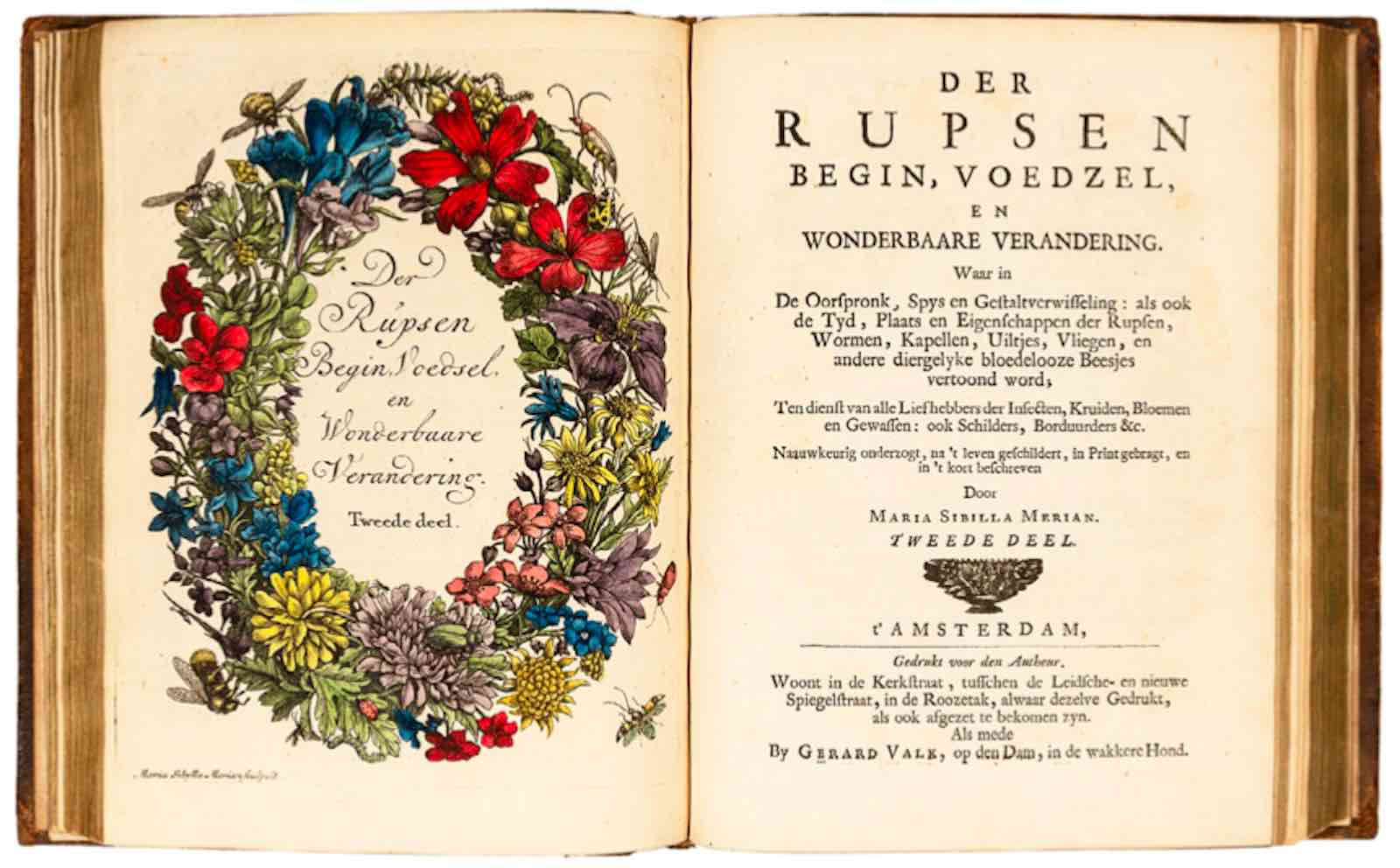 Der Rupsen Begin by Maria Sibylla Merian, her groundbreaking 17th centurty study of insects