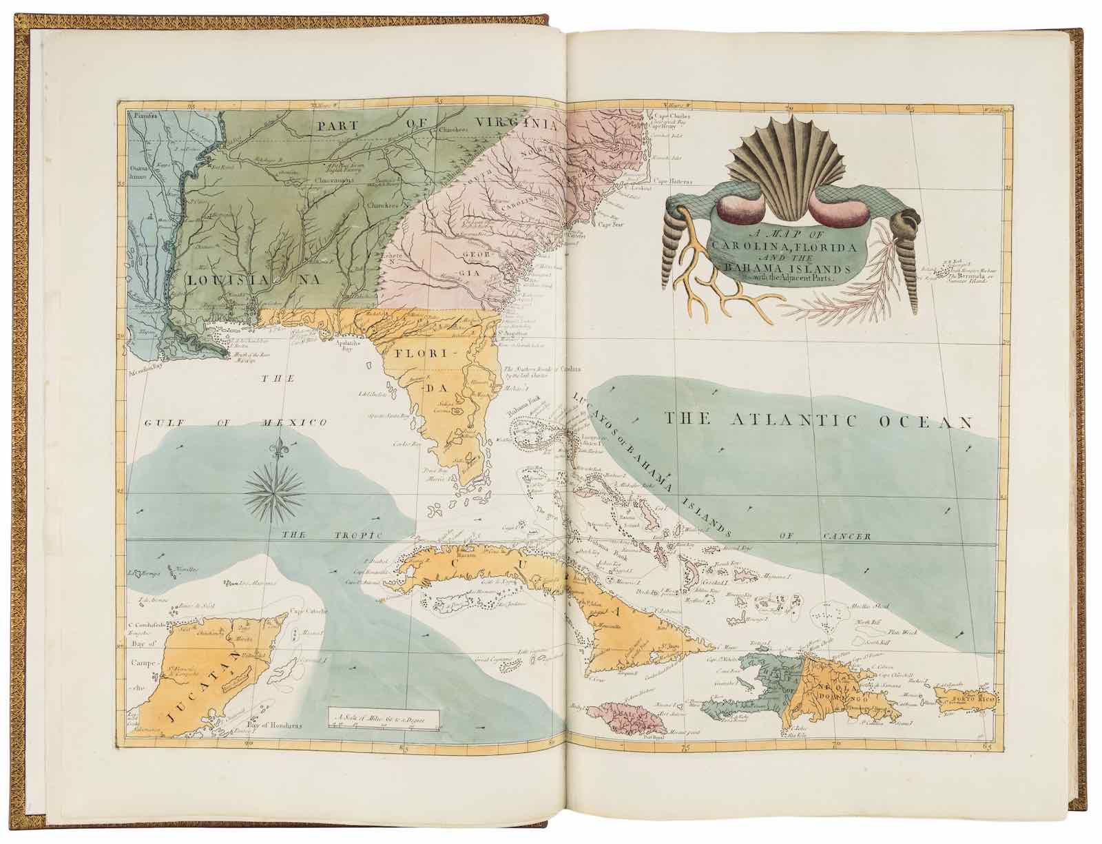 Mark Catesby, The Natural History of Carolina, Florida, and the Bahama Islands