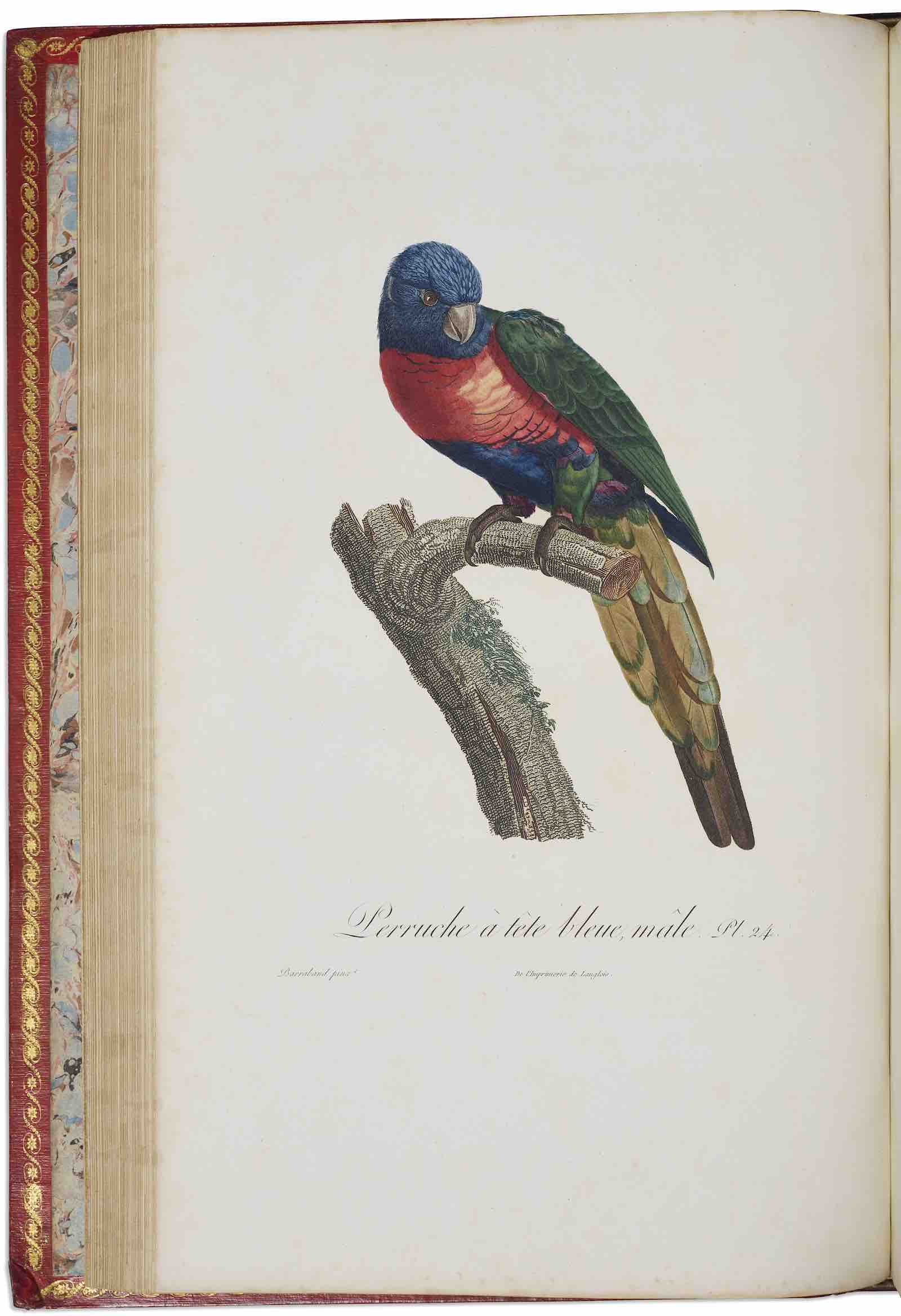 François Levaillant, Histoire Naturelle des Perroquets, 1801-1805. Estimate: $120,000-180,000