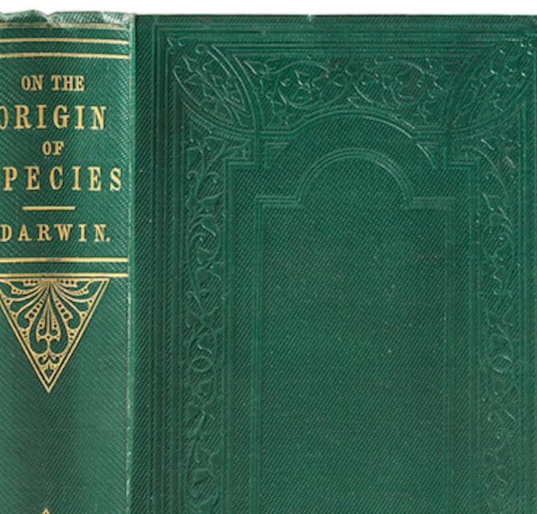 Origin of Species